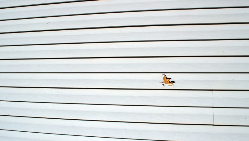 Vinyl Siding Repair Expert Image 2